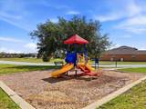 9012 Orange Blossom Loop - Photo 62