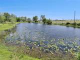 5825 Lake Lizzie Drive - Photo 63