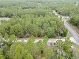9787 Citrus Springs Boulevard - Photo 7