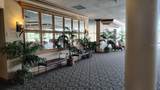 2333 Feather Sound Drive - Photo 16