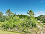 00 Paddock Street - Photo 6