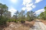 3049 Cedar Hill Avenue - Photo 2