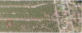 455 Hummingbird Avenue - Photo 1