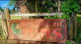 4060 Aurantia Road - Photo 8
