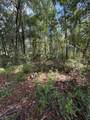 1340 Jayce Ct - Photo 6