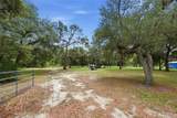 5956 Green Acres Street - Photo 3