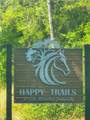 145 Sweetwater Trail - Photo 1