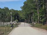 145 Sweetwater Trail - Photo 4