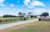  Grass Roots Road - Photo 7