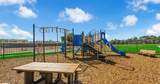 127 Cuban Royal Palm Way - Photo 42