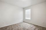 20506 Carolina Cherry Court - Photo 28