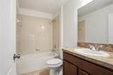 20506 Carolina Cherry Court - Photo 41