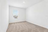 4227 Evernia Road - Photo 30