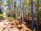  Lost Lake Road - Photo 11