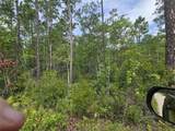 1135 Omega Ranch Road - Photo 4