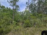 1135 Omega Ranch Road - Photo 6