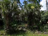  Sago Palm Road - Photo 1