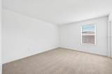 891 Honey Petal Lane - Photo 22