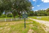 27037 Grand Oak Lane - Photo 9