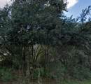  Granada Drive - Photo 1