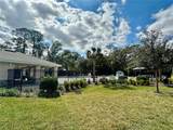 2349 Penguin Boulevard - Photo 19