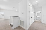 15174 Field Daisy Drive - Photo 35