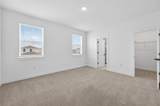 15174 Field Daisy Drive - Photo 37