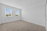 15174 Field Daisy Drive - Photo 48