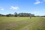 38514 Wooded Meadow Drive - Photo 5