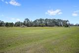 38514 Wooded Meadow Drive - Photo 6