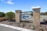 38514 Wooded Meadow Drive - Photo 8