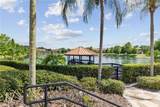 3003 Bird Of Paradise Lane - Photo 56