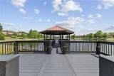 3003 Bird Of Paradise Lane - Photo 57