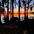 1180 Paseo Del Mar - Photo 15