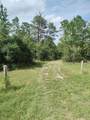 6033 Tirana Lane - Photo 1