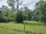 6033 Tirana Lane - Photo 2