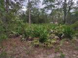 6033 Tirana Lane - Photo 4