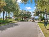 34037 Fortunado Street - Photo 50