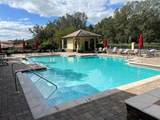 25846 Feather Ridge Lane - Photo 46