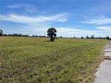 12368 Greenling Way - Photo 2