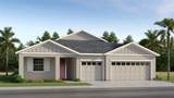 4550 Live Oak Trail - Photo 1