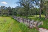 1113 Pearl Tree Road - Photo 59