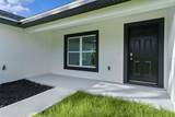 3228 Camilo Drive - Photo 6