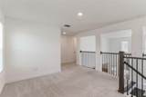 6442 Rover Way - Photo 20