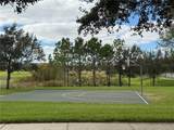14741 Snowy Egret Street - Photo 29