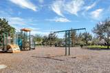 14741 Snowy Egret Street - Photo 64