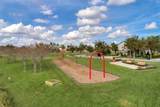 14741 Snowy Egret Street - Photo 67