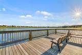 14741 Snowy Egret Street - Photo 70