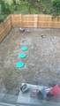 113 Cleveland Street - Photo 18