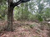 16486 Curlew Road - Photo 4